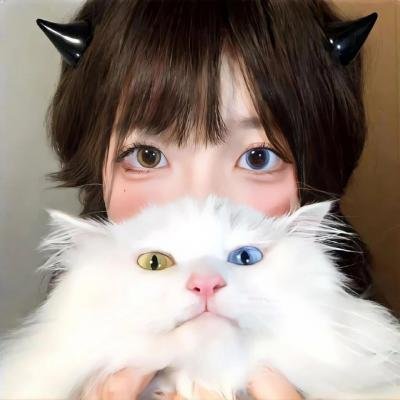 猫头鹰与小飞象